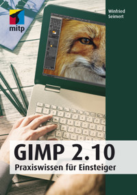 GIMP 2.10 - Winfried Seimert - E-Book