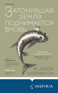 Затонувшая земля поднимается вновь - М. Джон ДХаррисонжон - E-Book