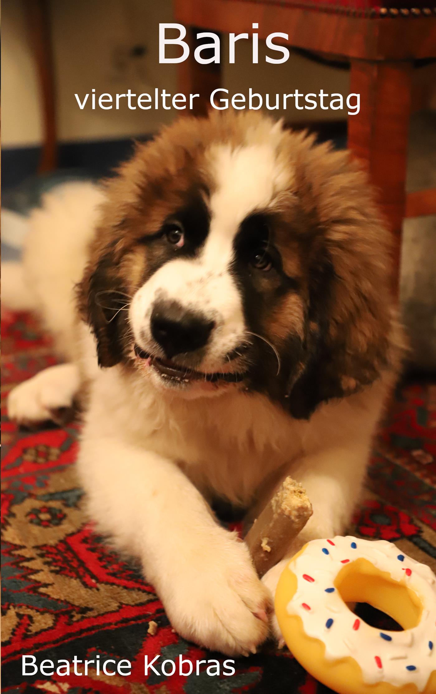 Baris viertelter Geburtstag - Beatrice Kobras - E-Book