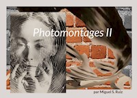 Photomontages II - Miguel S. Ruiz - E-Book
