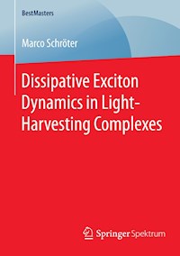 Dissipative Exciton Dynamics in Light-Harvesting Complexes - Marco Schröter - E-Book