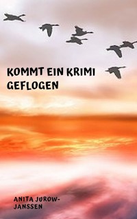 Kommt ein Krimi geflogen - Anita Jurow-Janßen - E-Book