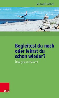 Begleitest du noch oder lehrst du schon wieder? - Michael Fröhlich - E-Book