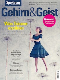 Gehirn&Geist 6/2019 - Was Träume erzählen - - E-Book