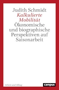 Kalkulierte Mobilität - Judith Schmidt - E-Book