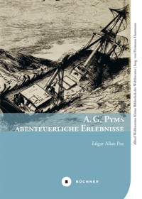 A. G. Pyms abenteuerliche Erlebnisse - Edgar Allan Poe - E-Book