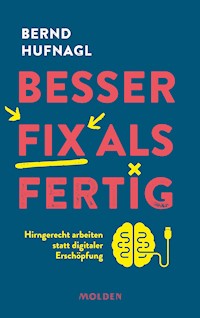 Besser fix als fertig - Bernd Hufnagl - E-Book