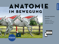 Anatomie in Bewegung - Gillian Higgins - E-Book