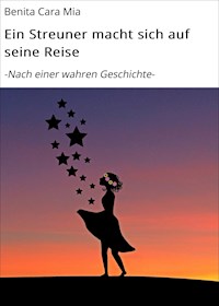 Ein Streuner macht sich auf seine Reise - Benita Cara Mia - E-Book