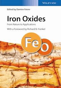 Iron Oxides - Damien Faivre - E-Book