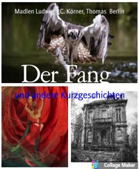 Der Fang - Thomas Berlin - E-Book