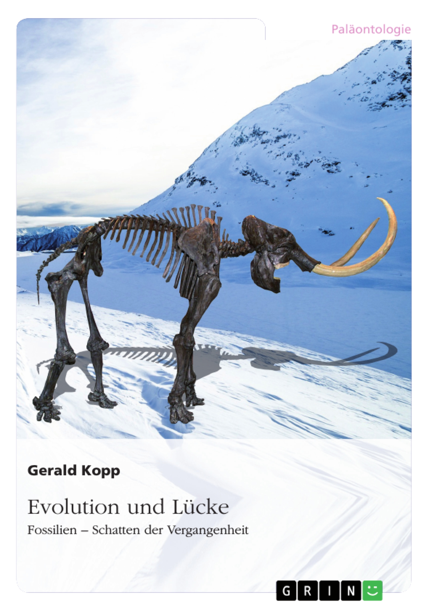 Evolution und Lücke - Gerald Kopp - E-Book
