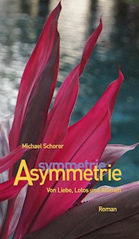 Asymmetrie - Michael Schorer - E-Book