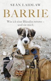 Barrie – Wie ich eine Hündin rettete – und sie mich - Sean Laidlaw - E-Book
