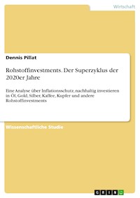 Rohstoffinvestments. Der Superzyklus der 2020er Jahre - Dennis Pillat - E-Book