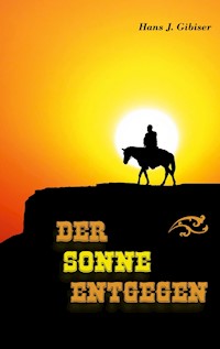 Der Sonne entgegen - Hans J. Gibiser - E-Book