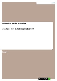Mängel bei Rechtsgeschäften - Friedrich Paula Wilhelm - E-Book