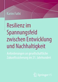 Resilienz im Spannungsfeld zwischen Entwicklung und Nachhaltigkeit - Karim Fathi - E-Book