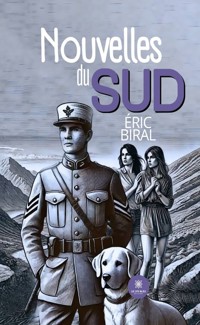 Nouvelles du Sud - Eric Biral - E-Book