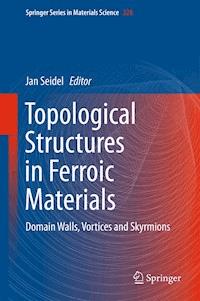 Topological Structures in Ferroic Materials -  - E-Book