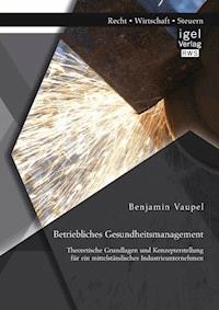 Betriebliches Gesundheitsmanagement: Theoretische Grundlagen und Konzepterstellung für ein mittelständisches Industrieunternehmen - Benjamin Vaupel - E-Book