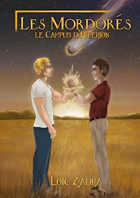 Les Mordorés - Loïc Zadra - E-Book