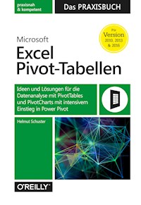 Microsoft Excel Pivot-Tabellen – Das Praxisbuch - Helmut Schuster - E-Book