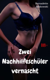 Zwei Nachhilfeschüler vernascht - Bernadette Binkowski - E-Book