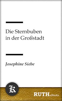 Die Sternbuben in der Großstadt - Josephine Siebe - E-Book