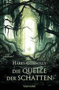 Die Quelle der Schatten - Harry Connolly - E-Book