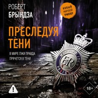 Преследуя тени - Роберт Брындза - Hörbuch