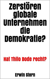 Zerstören globale Unternehmen die Demokratie? - Erwin Stern - E-Book