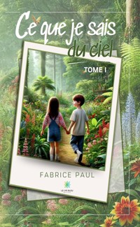 Ce que je sais du ciel - Tome 1 - Fabrice Paul - E-Book