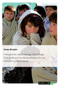 Unbegleitete minderjährige Flüchtlinge. Vom Aufbruch im Herkunftsland bis zur Ankunft in Deutschland - Sonja Bergler - E-Book