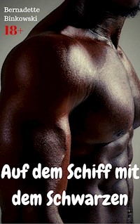Auf dem Schiff mit dem Schwarzen - Bernadette Binkowski - E-Book