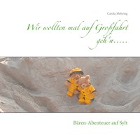 Wir wollten mal auf Großfahrt geh'n..... - Carola Mehring - E-Book