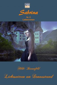 Liebeswirren am Donaustrand - Hilde Braunsfeld - E-Book