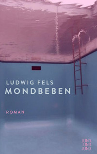 Mondbeben - Ludwig Fels - E-Book
