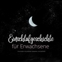 Einschlafgeschichte für Erwachsene - Patrick Lynen - Hörbuch