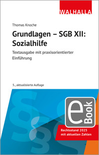 Grundlagen - SGB XII: Sozialhilfe - Thomas Knoche - E-Book