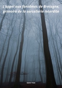 L'appel aux fantômes de Bretagne - Saint Yves - E-Book