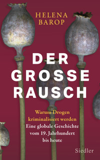 Der große Rausch - Helena Barop - E-Book