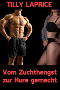 Vom Zuchthengst zur Hure gemacht - Tilly Laprice - E-Book