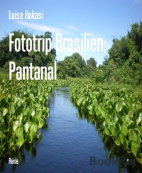 Fototrip Brasilien: Pantanal - Luise Hakasi - E-Book