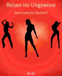 Reisen ins Ungewisse - An Ko - E-Book