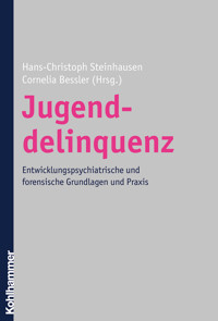 Jugenddelinquenz -  - E-Book