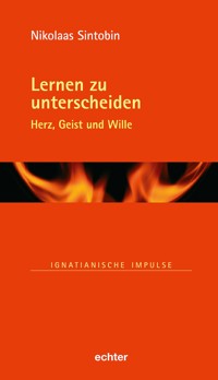 Lernen zu unterscheiden - Nikolaas Sintobin - E-Book