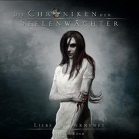 Liebe vs. Vernunft - Die Chroniken der Seelenwächter, Band 10 (ungekürzt) - Nicole Böhm - Hörbuch