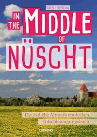 In the Middle of Nüscht - Sibylle Sperling - E-Book