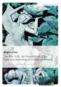 The Wee Folk. An Examination of the Fairy and Mythological Culture of Ireland - Brigitte Prem - E-Book